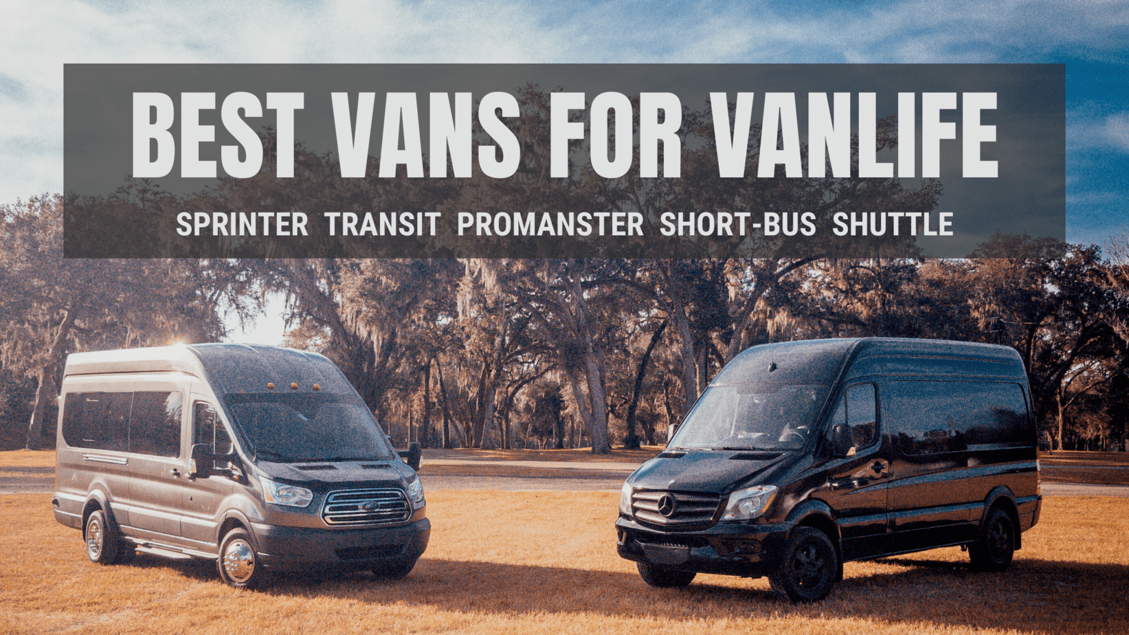 What's The Best Van For Vanlife? - Nomadic Tortoise